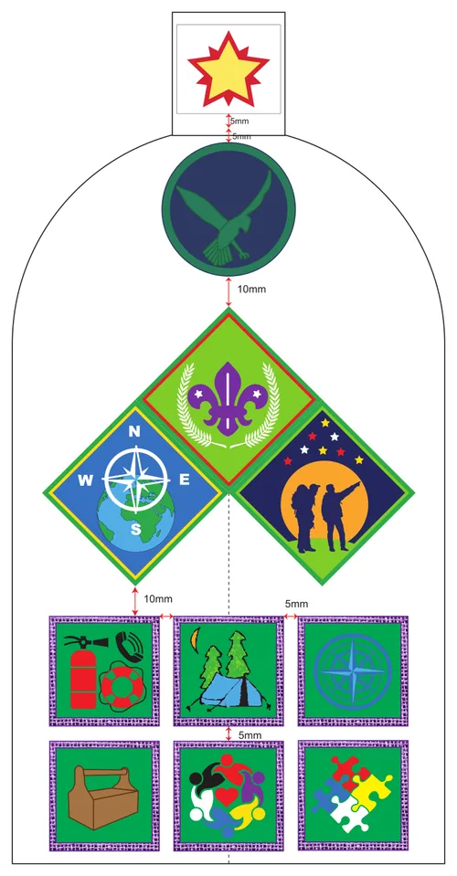 Scout left sleeve: the star patrol badge at the top, the patrol badge below it, then the First Class, Traveller and Discoverer advancement badges in a diamond.